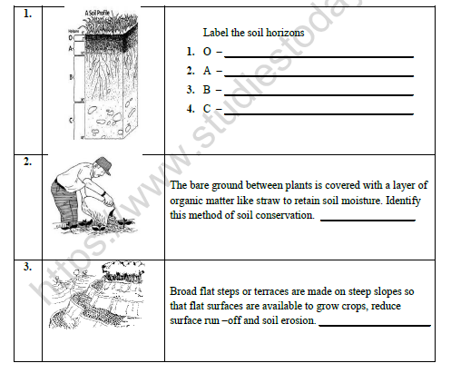 CBSE Class 8 Social Science Land Soil Water And Natural Vegetation And Wildlife Resources Worksheet Set B