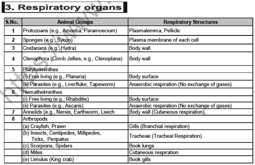 CBSE Class 12 Biology Respiration Notes