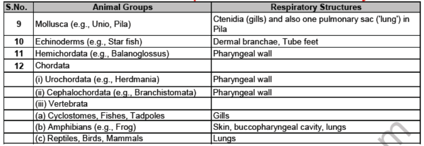 CBSE Class 12 Biology Respiration Notes