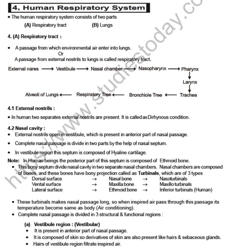 CBSE Class 12 Biology Respiration Notes