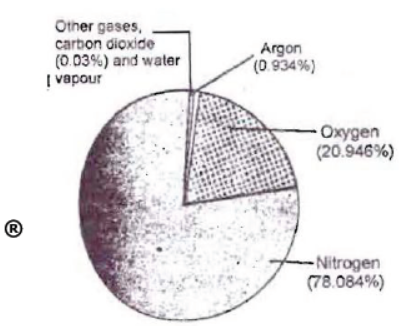 CBSE Class 6 Science Air Notes Set A