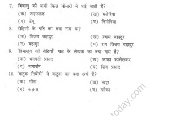 CBSE Class 7 Hindi Sample Paper Set P