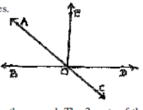 CBSE Class 7 Mathematics Sample Paper Set N