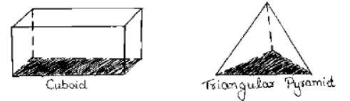 CBSE Class 7 Mathematics Sample Paper Set O