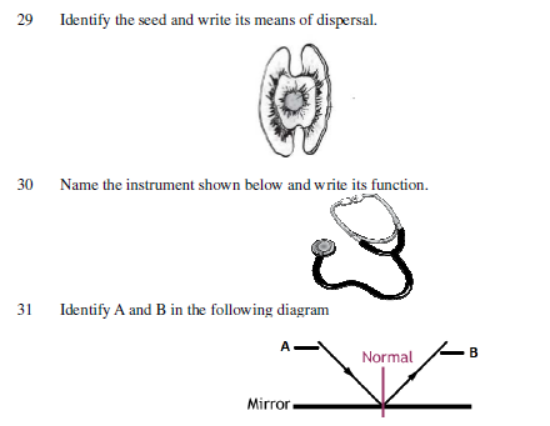 CBSE Class 7 Science Sample Paper Set C