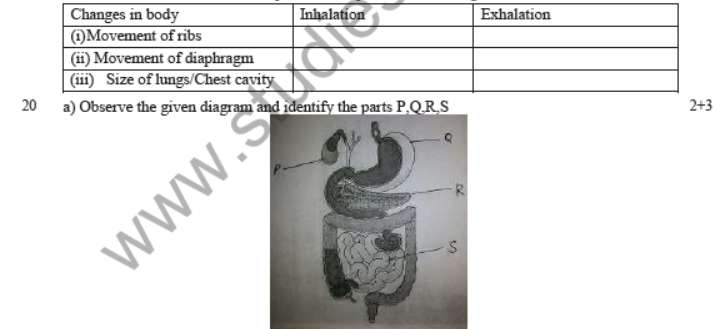 CBSE Class 7 Science Sample Paper Set G