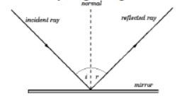 CBSE Class 7 Science Sample Paper Set K