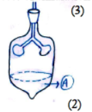 CBSE Class 7 Science Sample Paper Set R