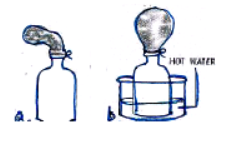 CBSE Class 7 Science Sample Paper Set S