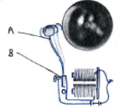 CBSE Class 7 Science Sample Paper Set S