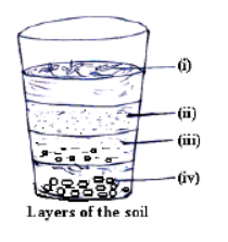 CBSE Class 7 Science Sample Paper Set S