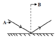 CBSE Class 7 Science Sample Paper Set U