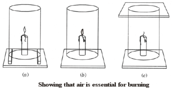 CBSE Class 8 Science Combustion and Flame Chapter Notes