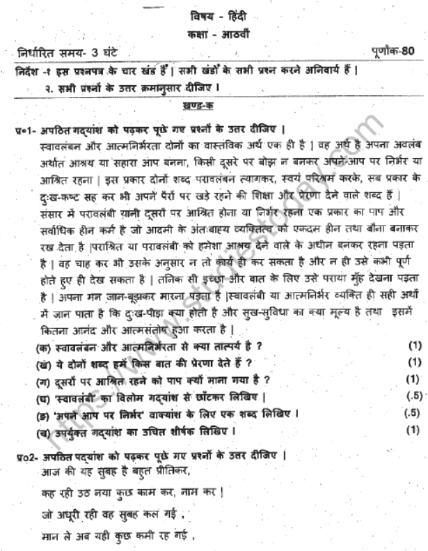 CBSE Class 8 Hindi Question Paper Set V