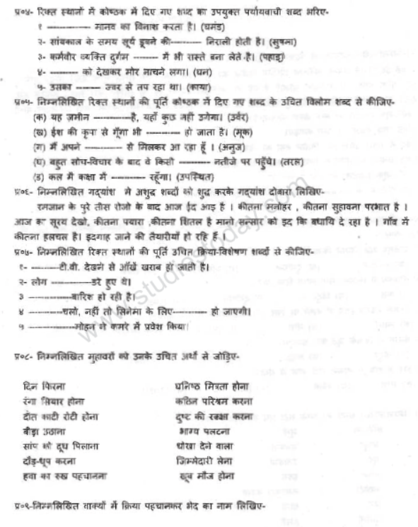 CBSE Class 8 Hindi Sample Paper Set 1