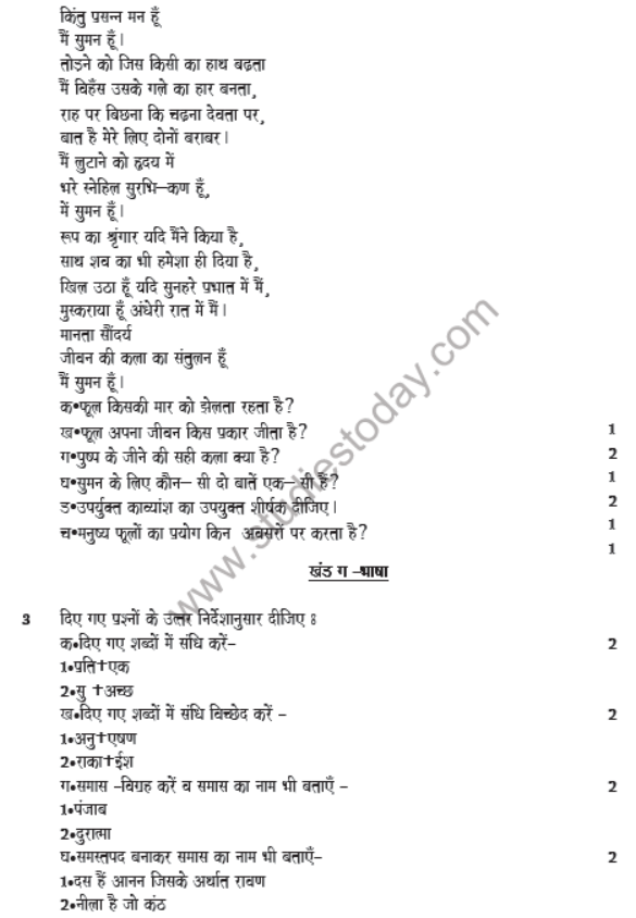 CBSE Class 8 Hindi Sample Paper Set E