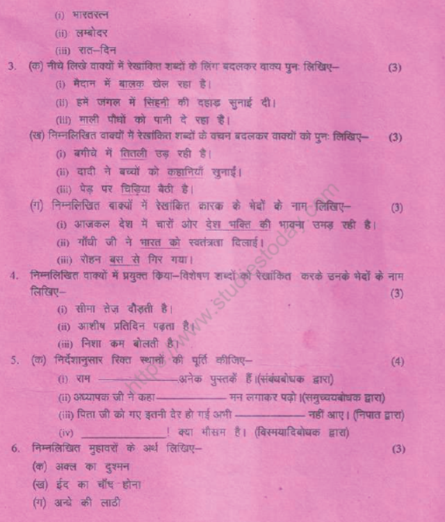 CBSE Class 8 Hindi Sample Paper Set L