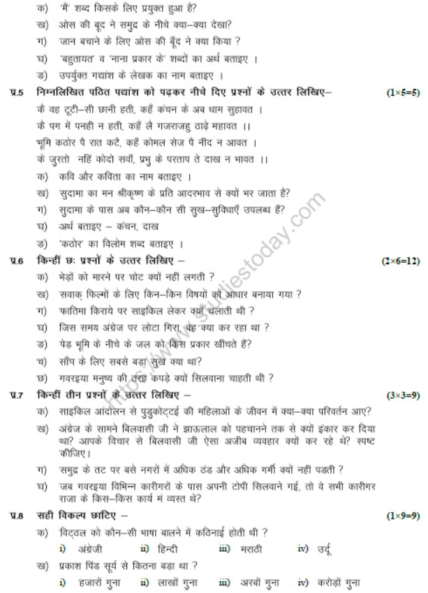 CBSE Class 8 Hindi Sample Paper Set S