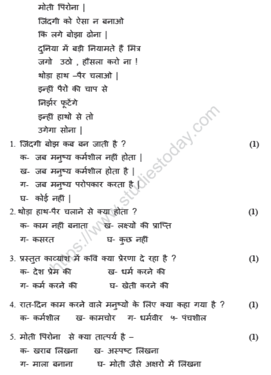 CBSE Class 8 Hindi Sample Paper Set V