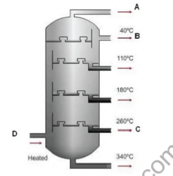 CBSE Class 8 Science Sample Paper Set B