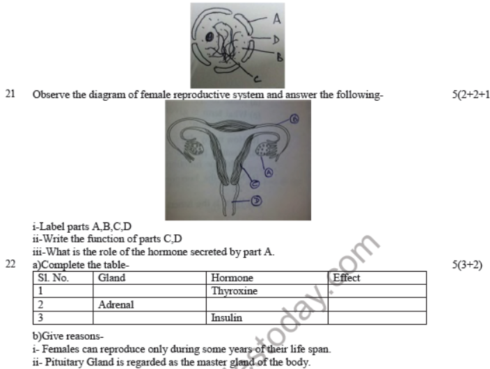 CBSE Class 8 Science Sample Paper Set B