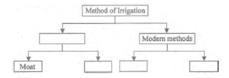 CBSE Class 8 Science Sample Paper Set K