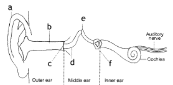 CBSE Class 8 Science Sample Paper Set N