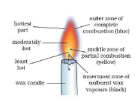 CBSE Class 8 Science Sample Paper Set I