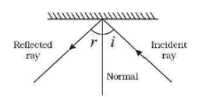 CBSE Class 8 Science Sample Paper Set I