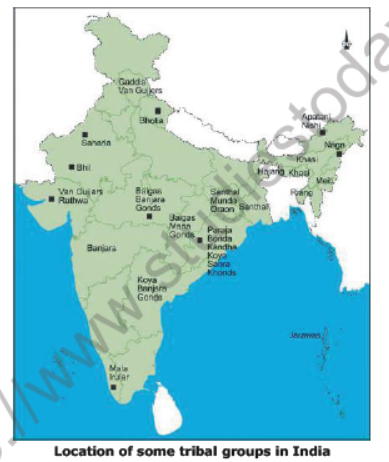 CBSE Class 8 Social Science Tribals Dijus The vision of Golden Age Notes Set A