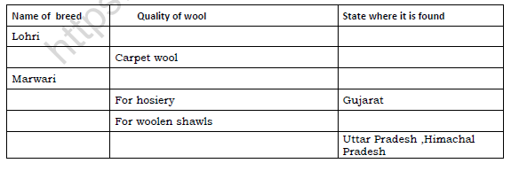 CaptureCBSE Class 7 Science Fibre to fabric Set C 2