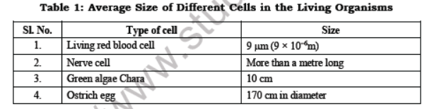 Class 7 Science Cell Structure and Function Advanced Notes