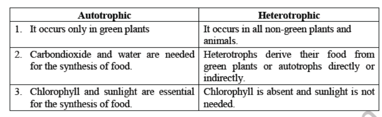 Class 7 Science Nutrition in Plants Advanced Notes