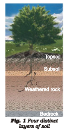 Class 7 Science Soil Advanced Notes