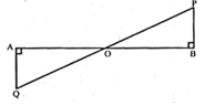 ML Aggarwal Solutions Class 10 Maths Chapter 13 Similarity-38