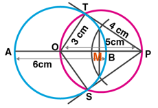 ML Aggarwal Solutions Class 10 Maths Chapter 16 Constructions