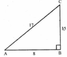 ML Aggarwal Solutions Class 10 Maths Chapter 18 Trigonometric Identities-1