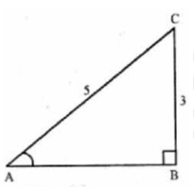 ML Aggarwal Solutions Class 10 Maths Chapter 18 Trigonometric Identities