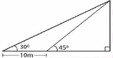 ML Aggarwal Solutions Class 10 Maths Chapter 20 Heights and Distances-46