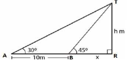 ML Aggarwal Solutions Class 10 Maths Chapter 20 Heights and Distances-47