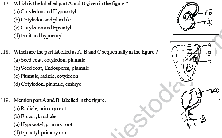 NEET UG Biology Growth and Development in plants MCQs-