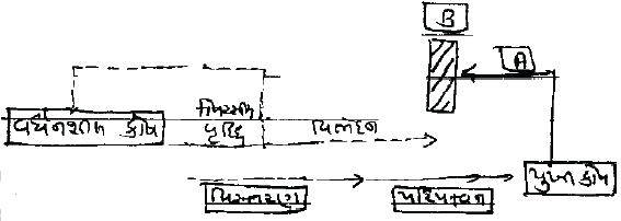 NEET UG Biology Growth and Development in plants MCQs-1