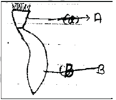 NEET UG Biology Growth and Development in plants MCQs