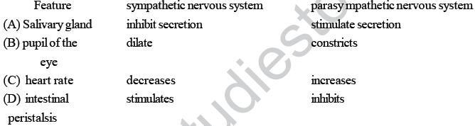 NEET UG Biology Neural Control and Coordination in Animals MCQs-18