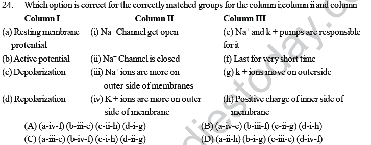 NEET UG Biology Neural Control and Coordination in Animals MCQs-3