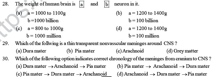 NEET UG Biology Neural Control and Coordination in Animals MCQs-4