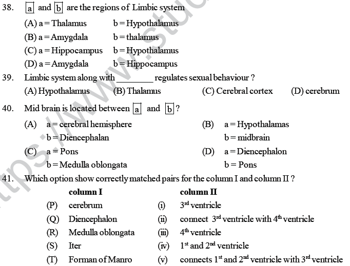 NEET UG Biology Neural Control and Coordination in Animals MCQs-5