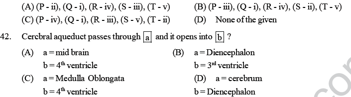 NEET UG Biology Neural Control and Coordination in Animals MCQs-6