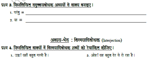 vCBSE Class 7 Hindi Conjunction Worksheet Set B 2