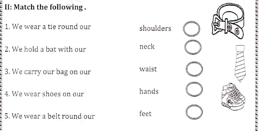 Class 1 EVS  My Body - Explanation 